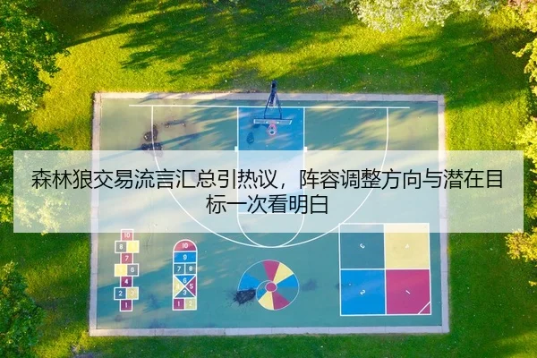 森林狼交易流言汇总引热议，阵容调整方向与潜在目标一次看明白